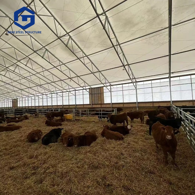 Livestock Farm Building House Sheds Cattle Frame Prefab Steel Structure Cow Barn Shelter