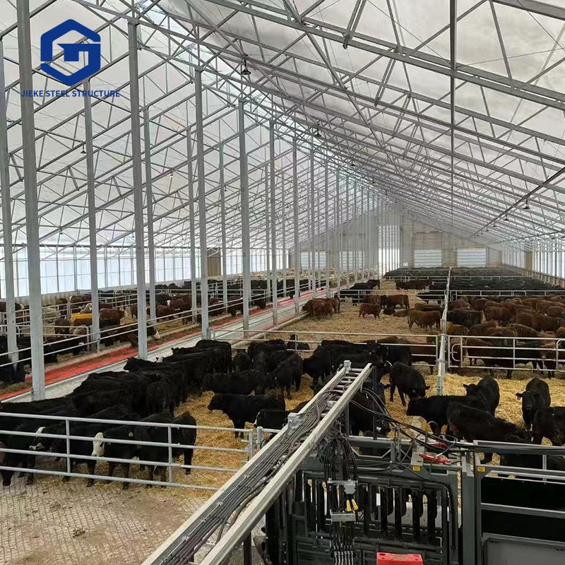 Prefabricated Poultry Shed FRP Plate Steel Structure Goat Sheep Cow Cattle House Farmhouse Jimei Precision Modern Design