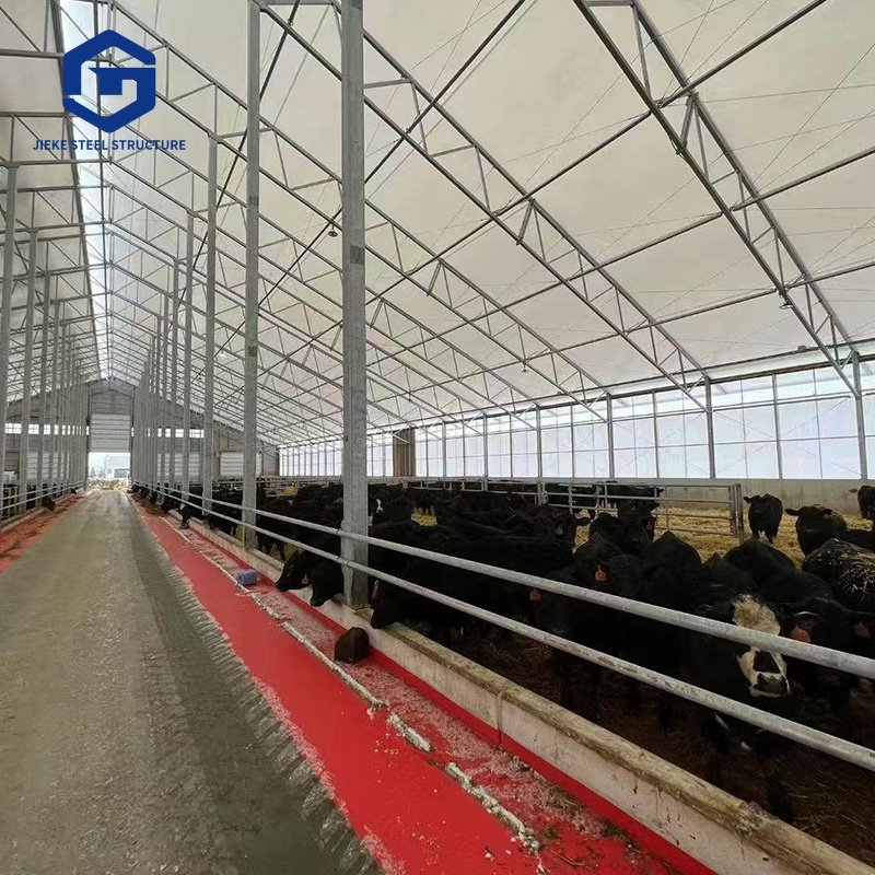 Prefabricated Poultry Shed FRP Plate Steel Structure Goat Sheep Cow Cattle House Farmhouse Jimei Precision Modern Design
