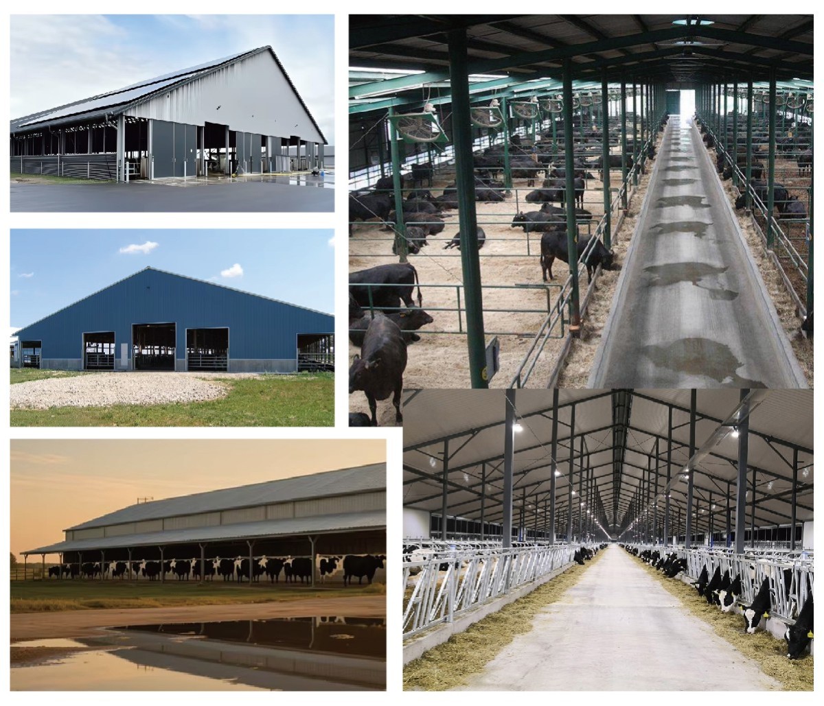 详情_画板 1 副本 2