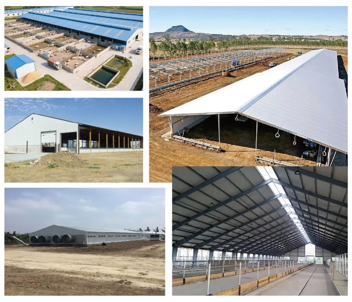 详情_画板 1 副本 4