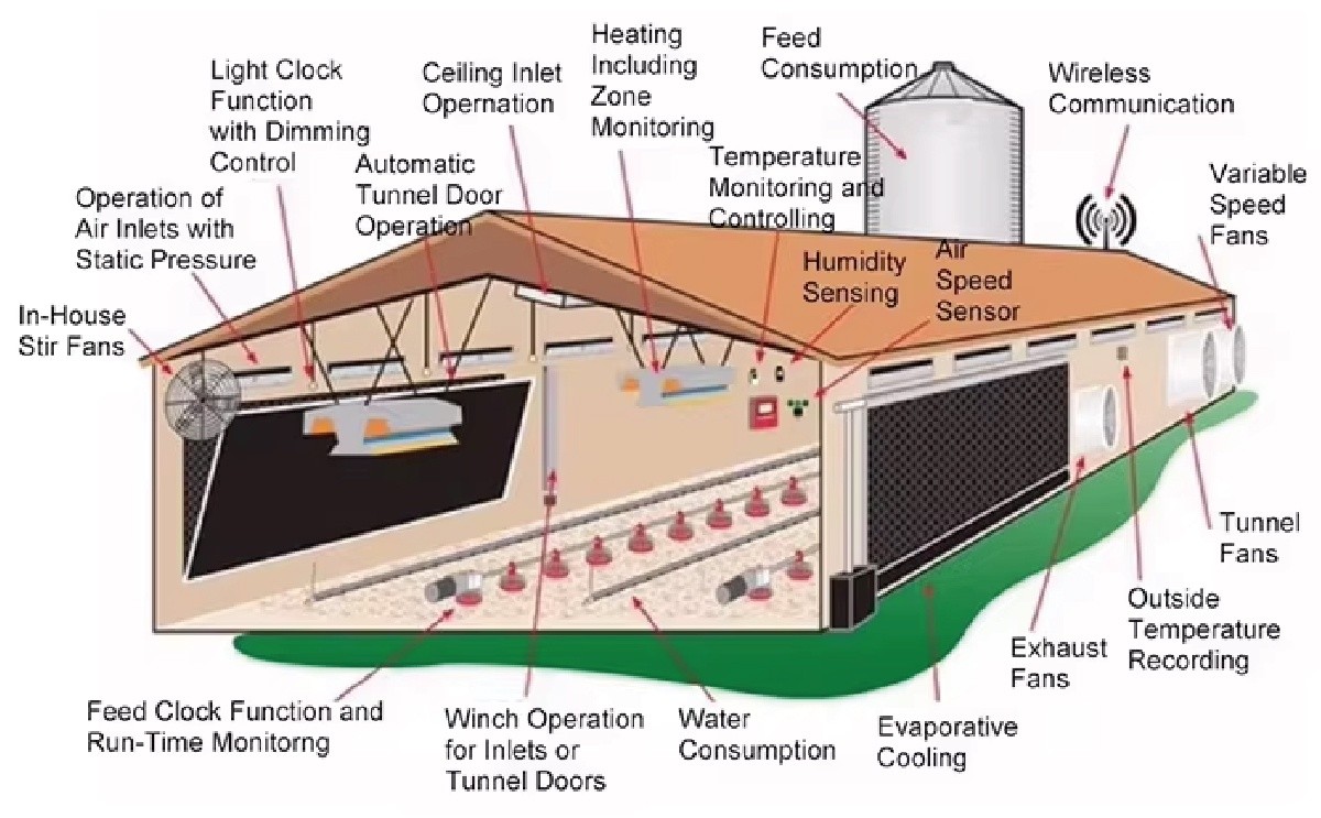 详情_画板 1 副本
