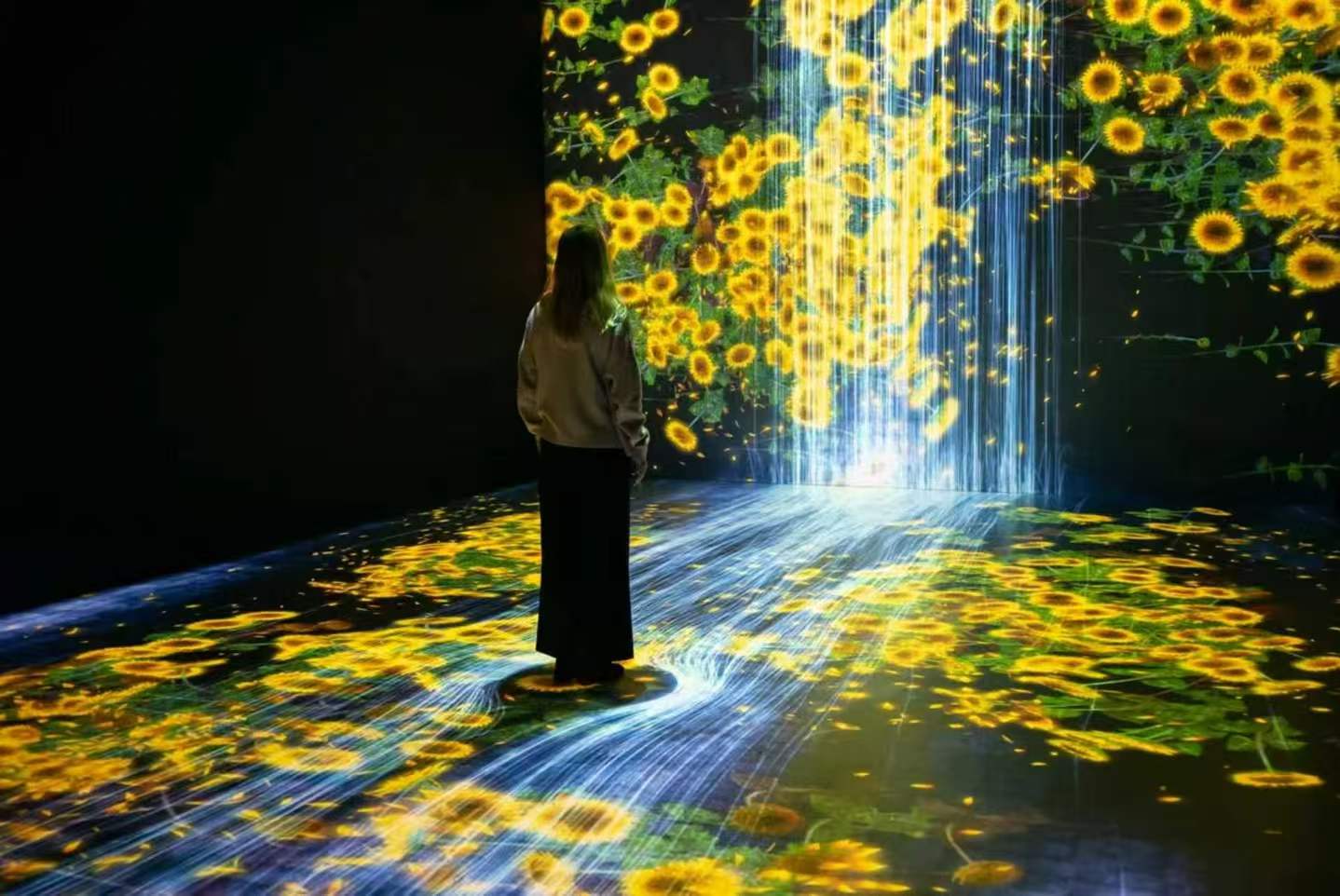 Laser Engineering Projector