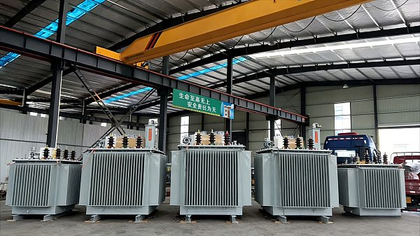 Embalaje y Transporte7