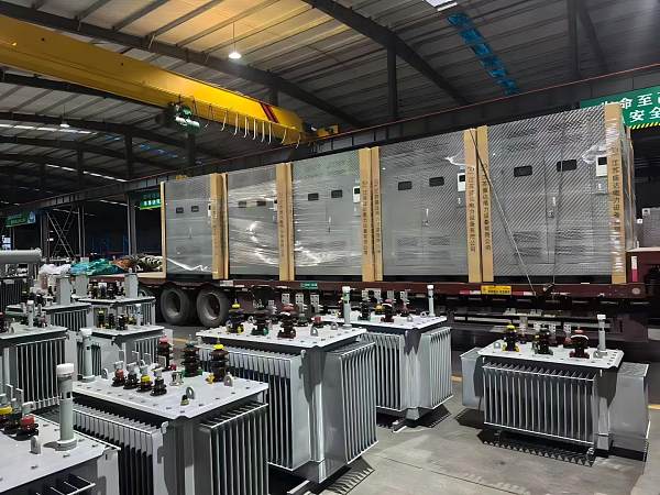 Embalaje y Transporte8