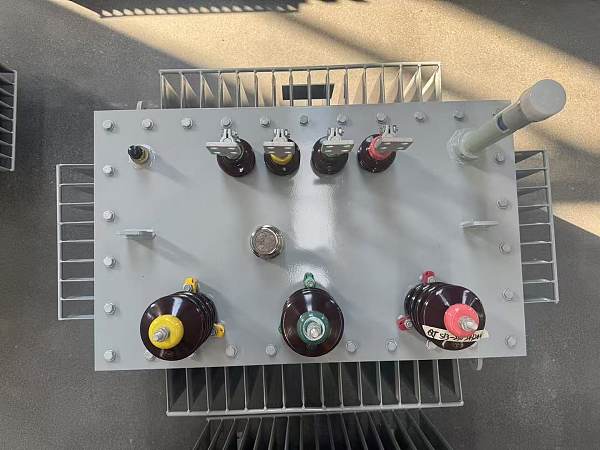 Diagrama detallado del transformador sumergido en aceite (3)