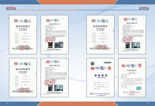 Informe de inspección (3)