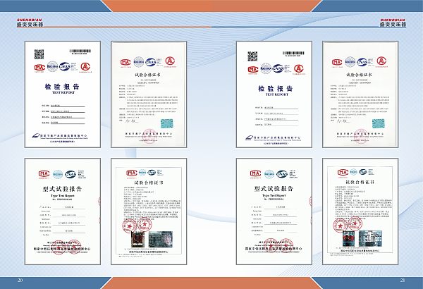 Informe de inspección (4)