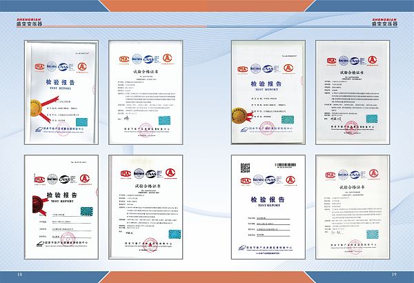 Informe de inspección (5)