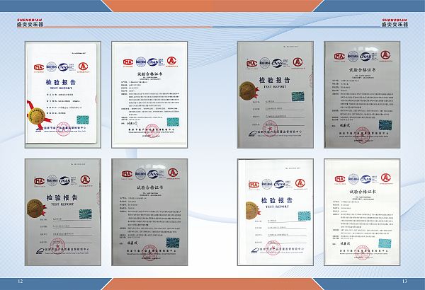 Informe de inspección (8)