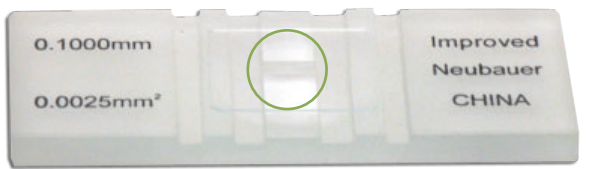 Hemacytometers