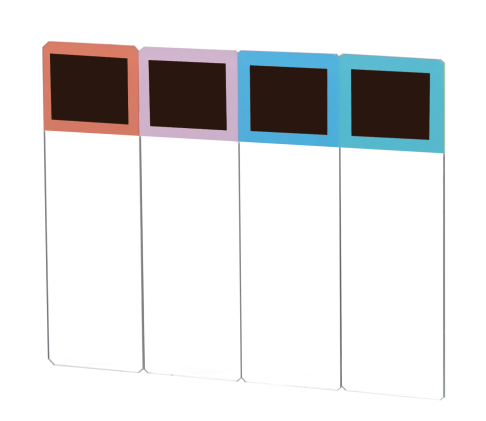 ColorInxTM Microscope Slides