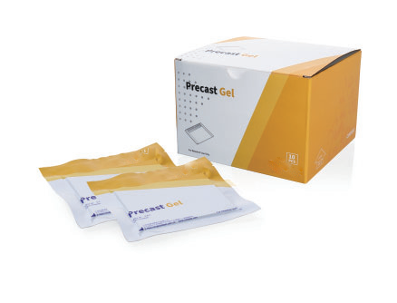 Precast Protein Gels