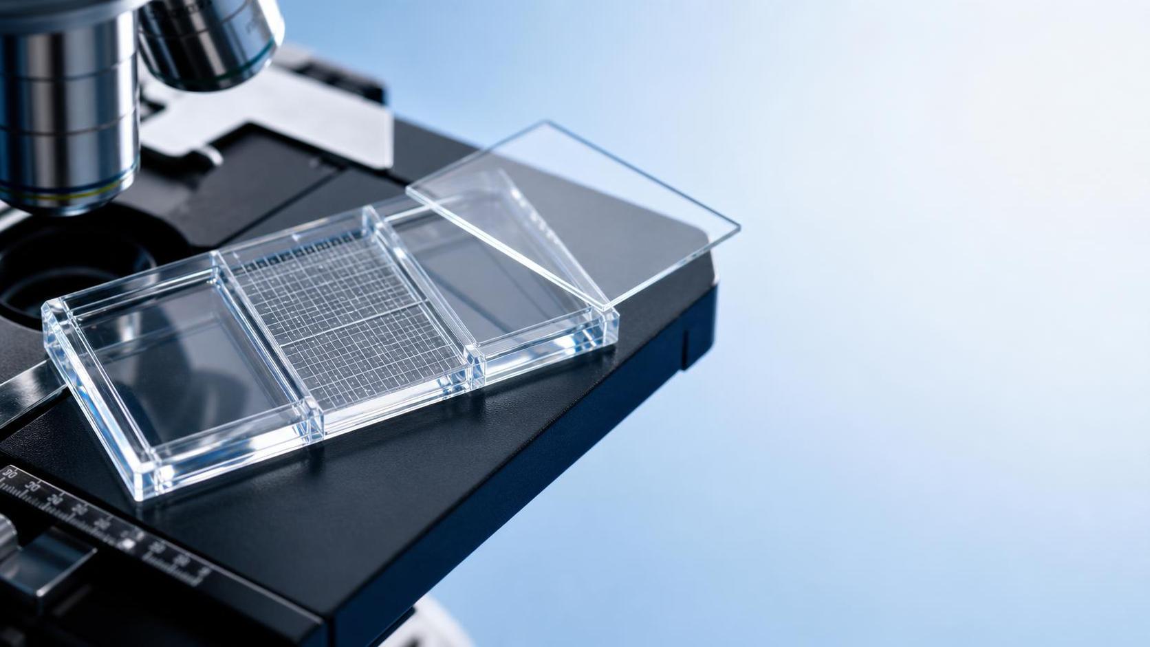 Hemacytometers for Laboratory Use: How Counting Chamber Design Affects Accuracy
