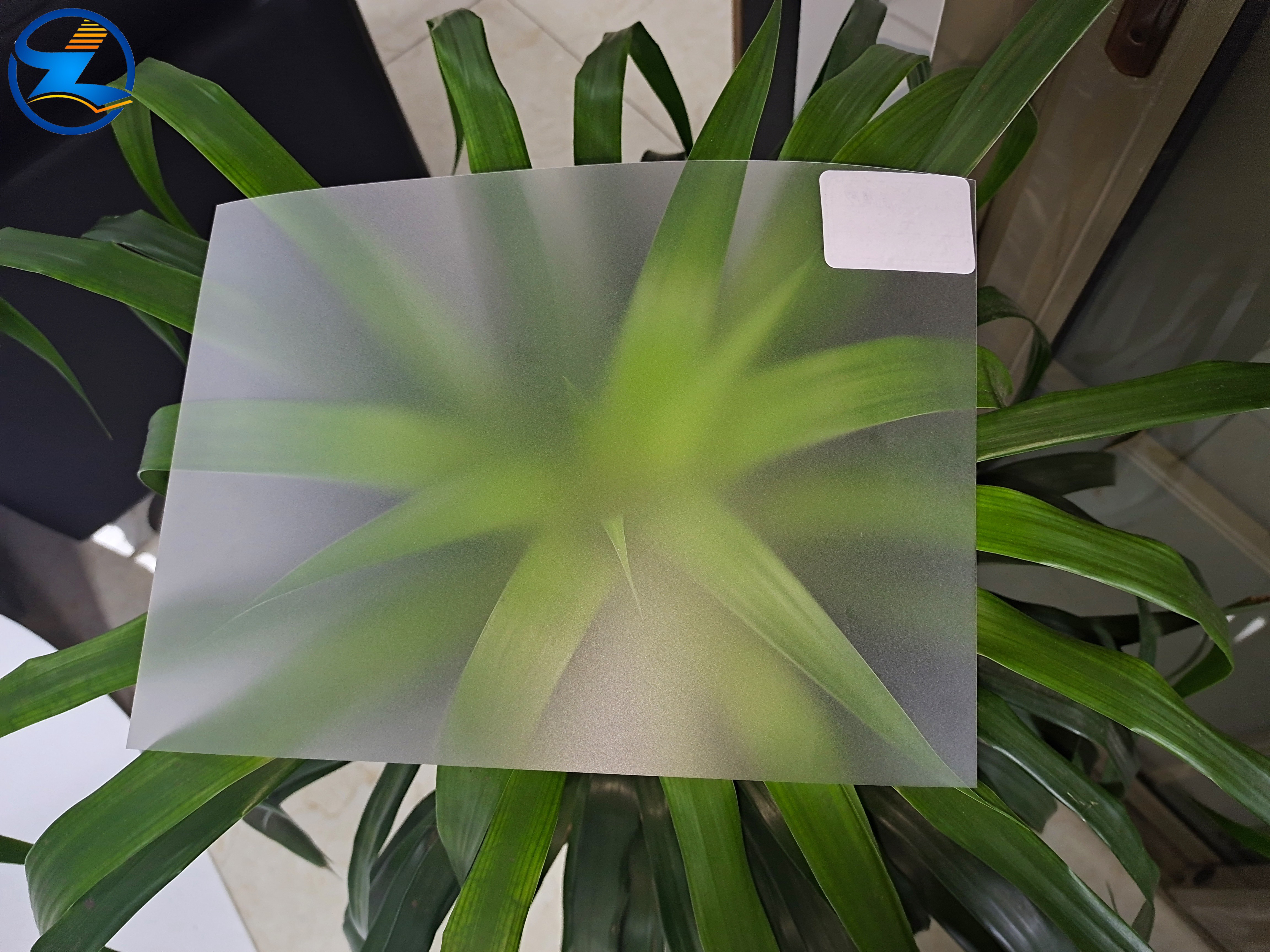 Natural Color Frosted PC Film