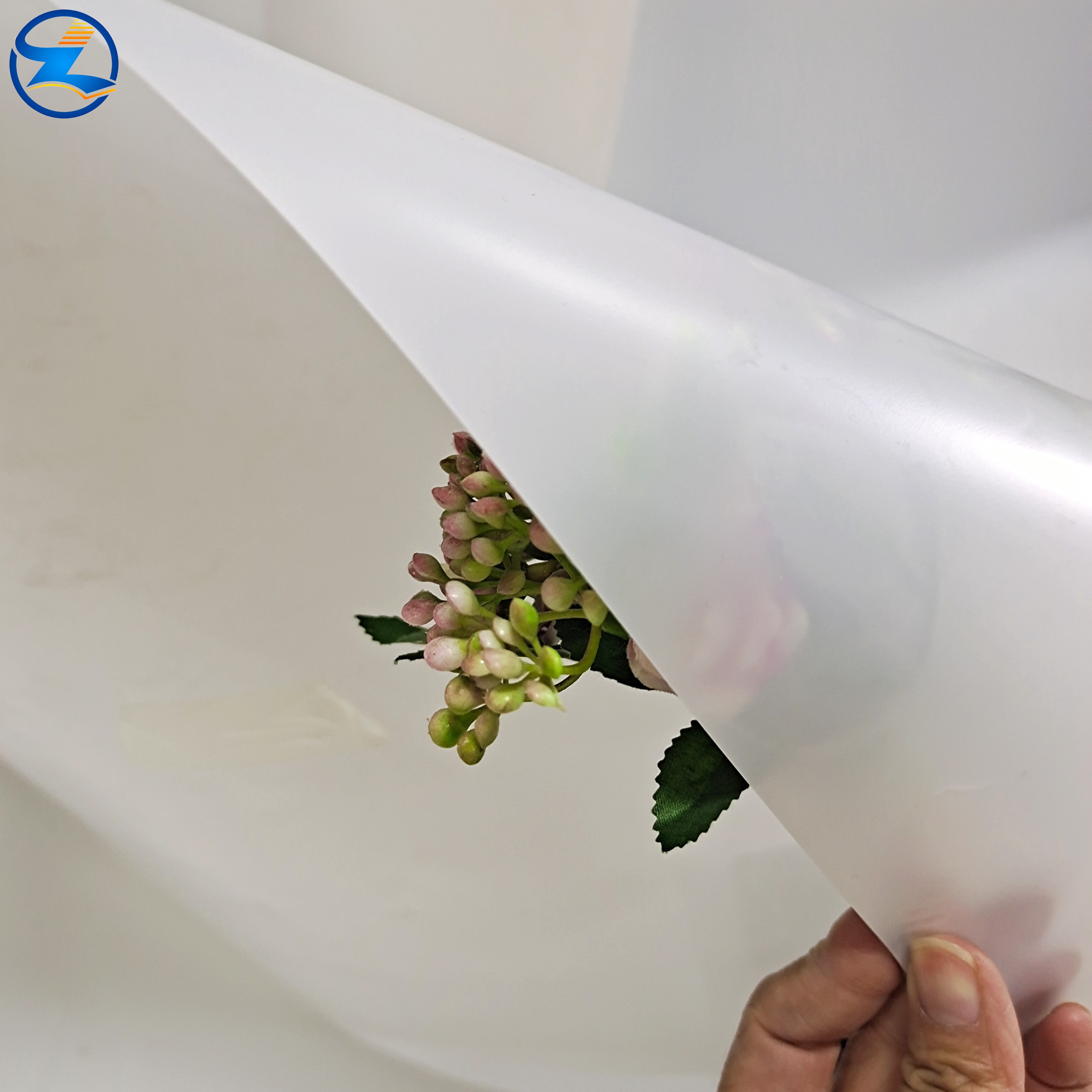 Quality-Upgraded PS Film Hits Market: Meeting International Standards for Food Safety & Industrial Application