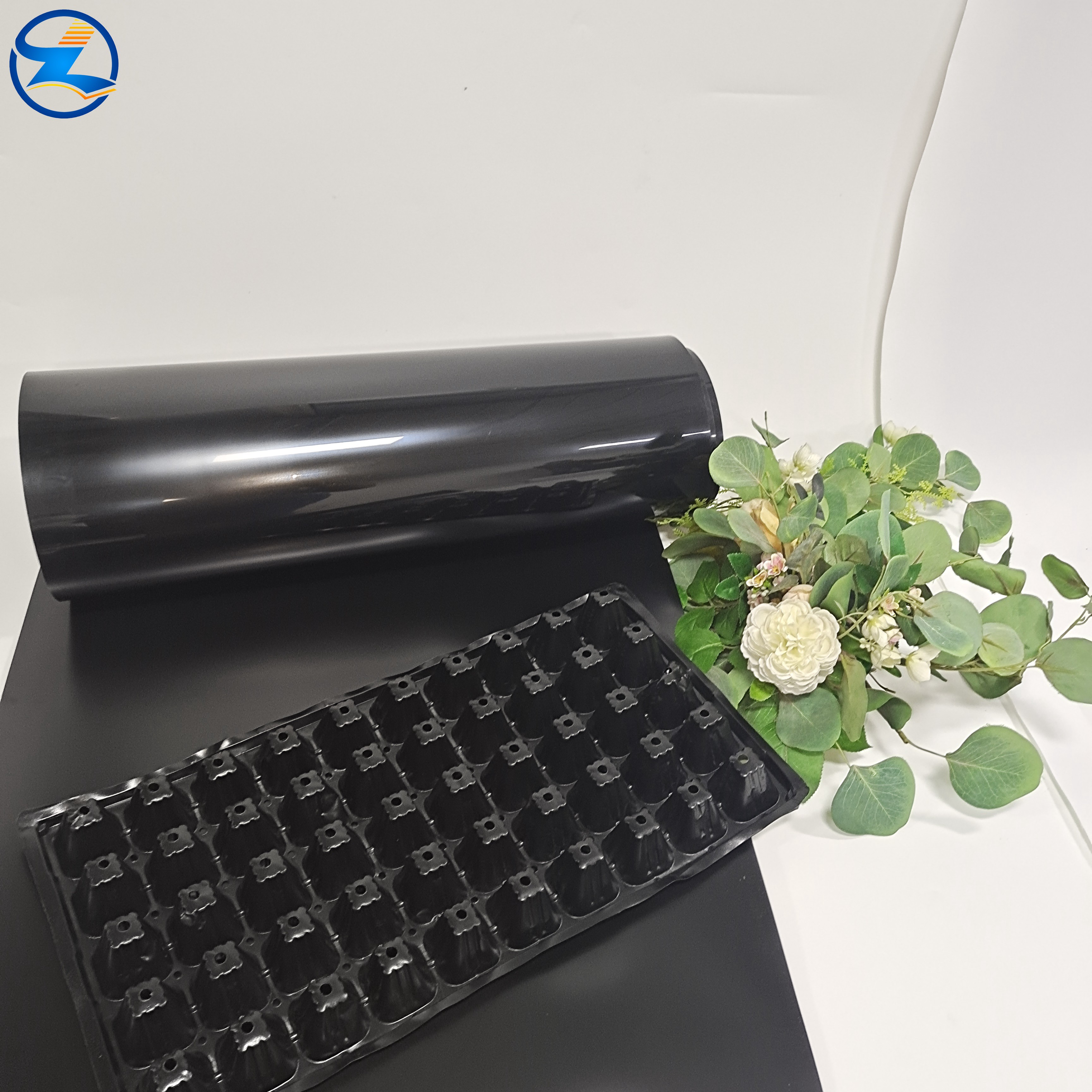 Food Grade PP Film Roll, Transparent Heat Sealable Polypropylene Film, FDA Certified for Packaging