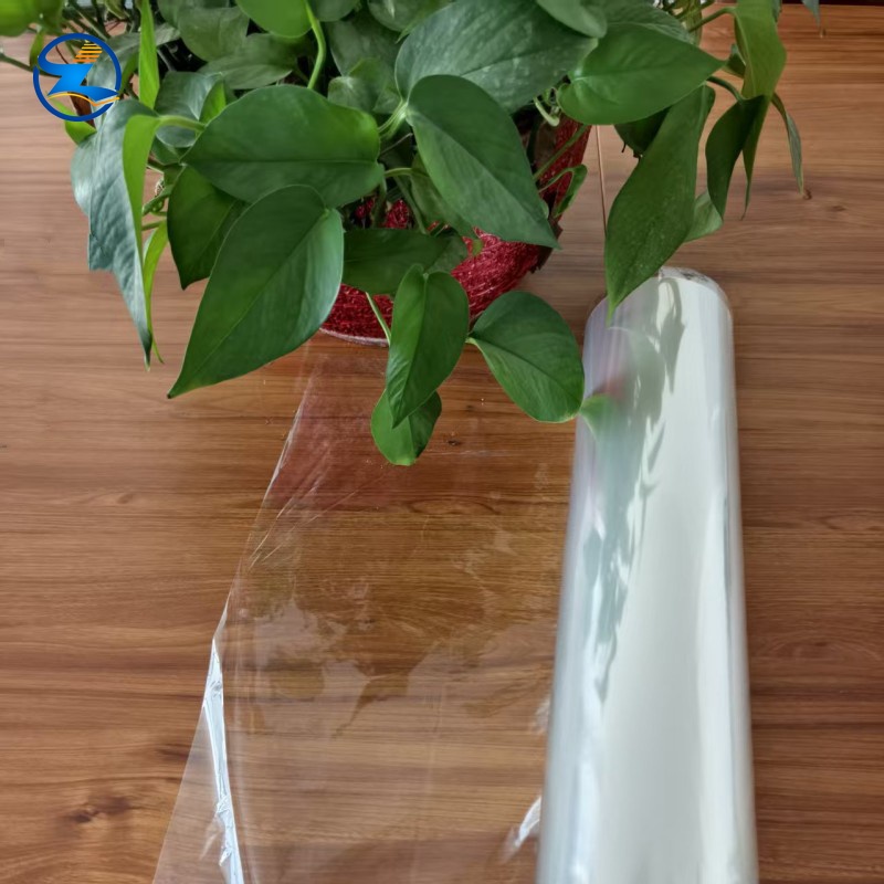 Biodegradable PLA Film Clear Compostable Rigid Films