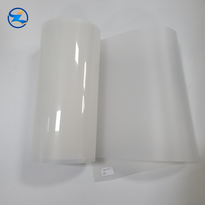 Translucent Polypropylene Sheets in Rolls