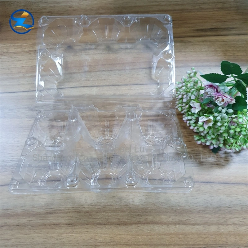 Large RPET Egg Tray — Sturdy, Durable, and Recyclable PET Material Transparent