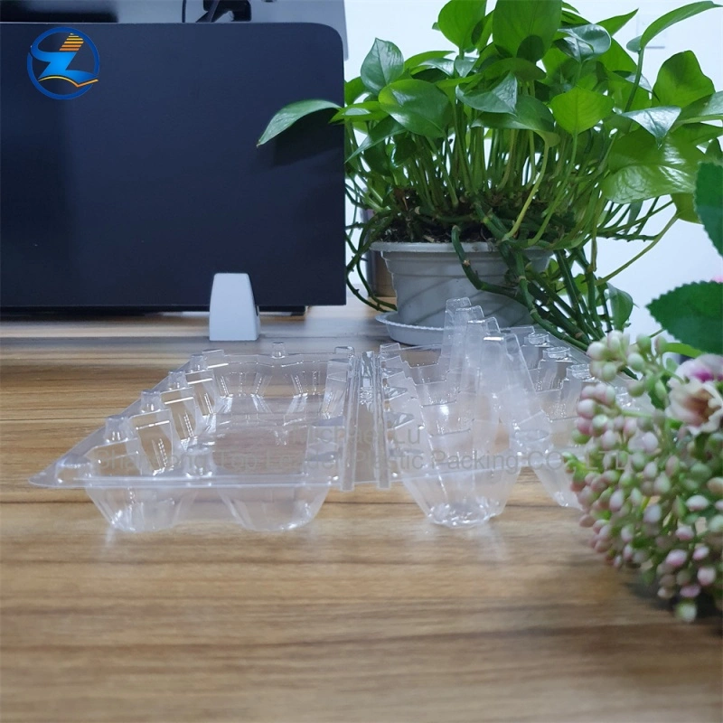 Large RPET Egg Tray — Sturdy, Durable, and Recyclable PET Material Transparent