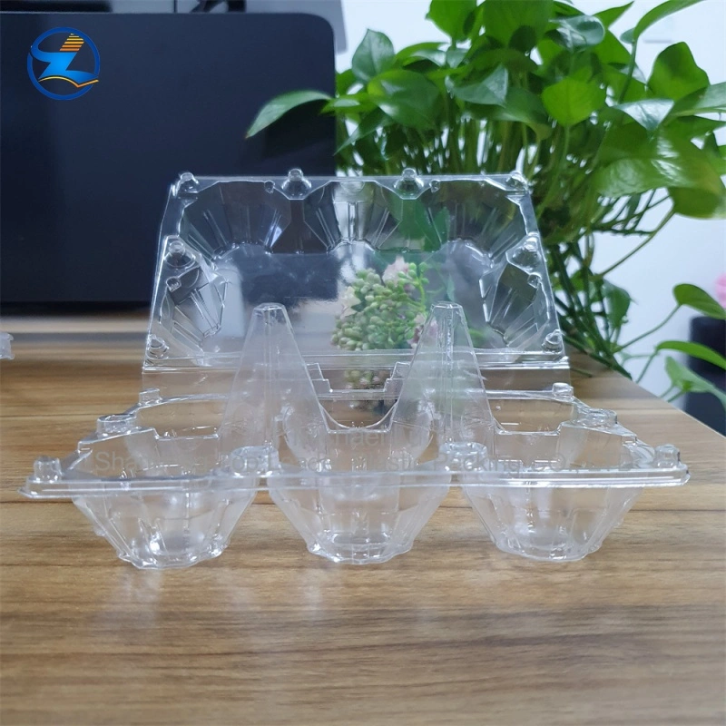 Large RPET Egg Tray — Sturdy, Durable, and Recyclable PET Material Transparent