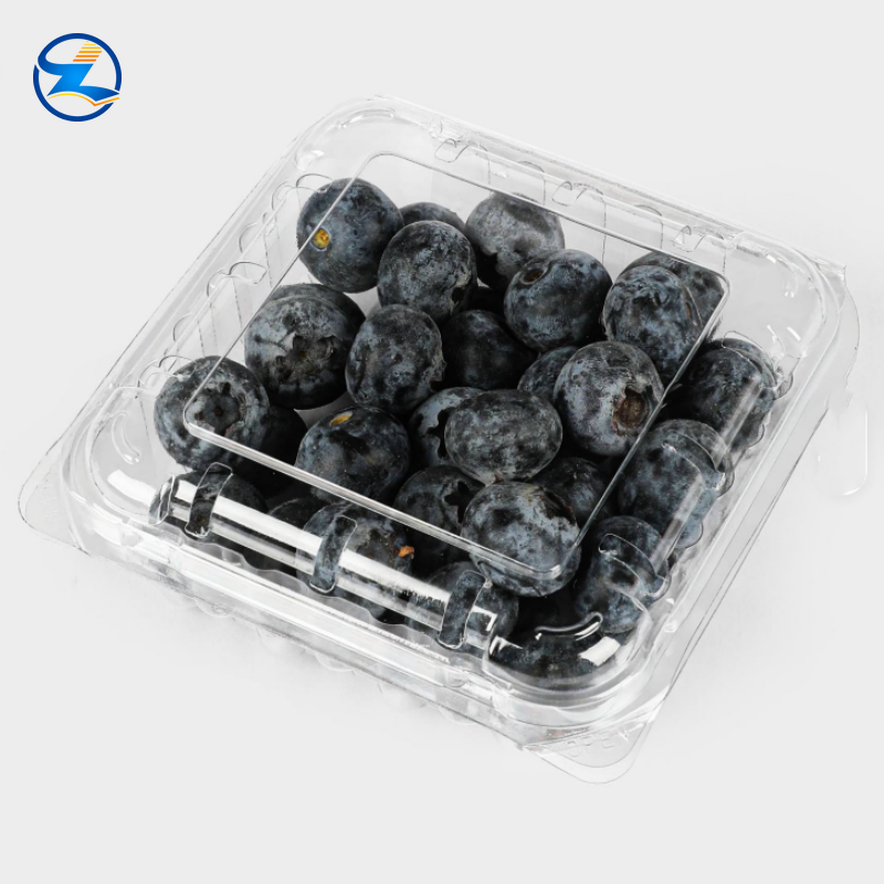 PET Food Container Display Trays for Food Packaging