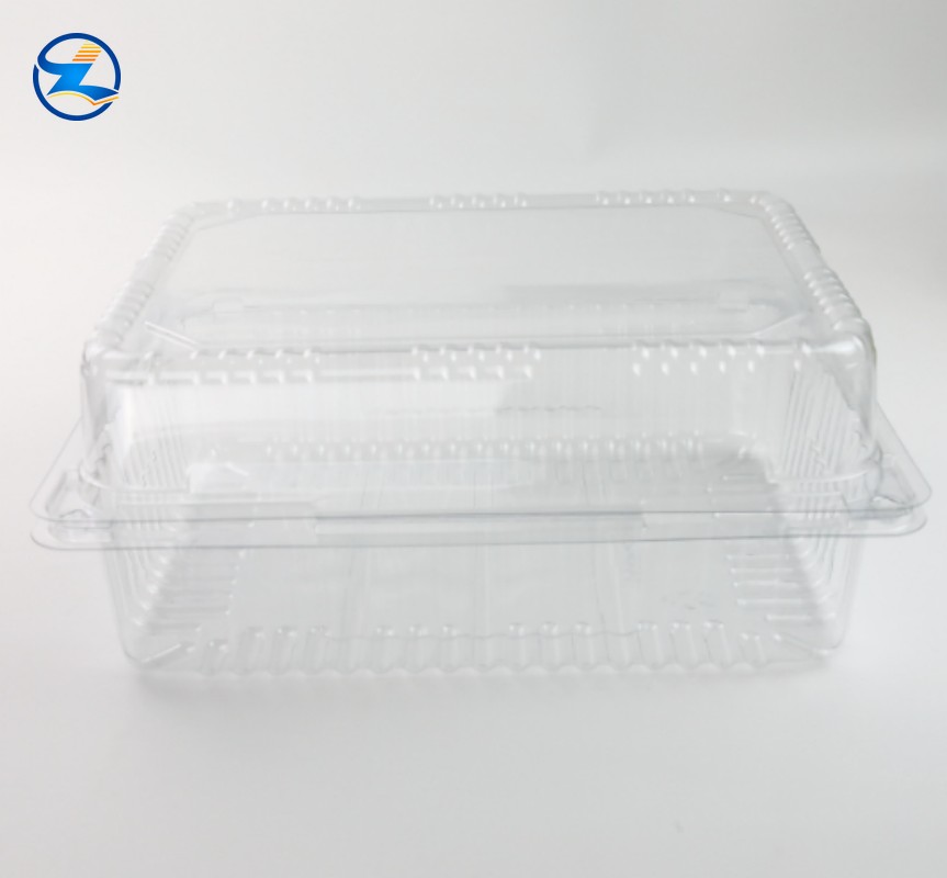 PET Transparent Food Tray-001 PET Transparent Food Tray-001