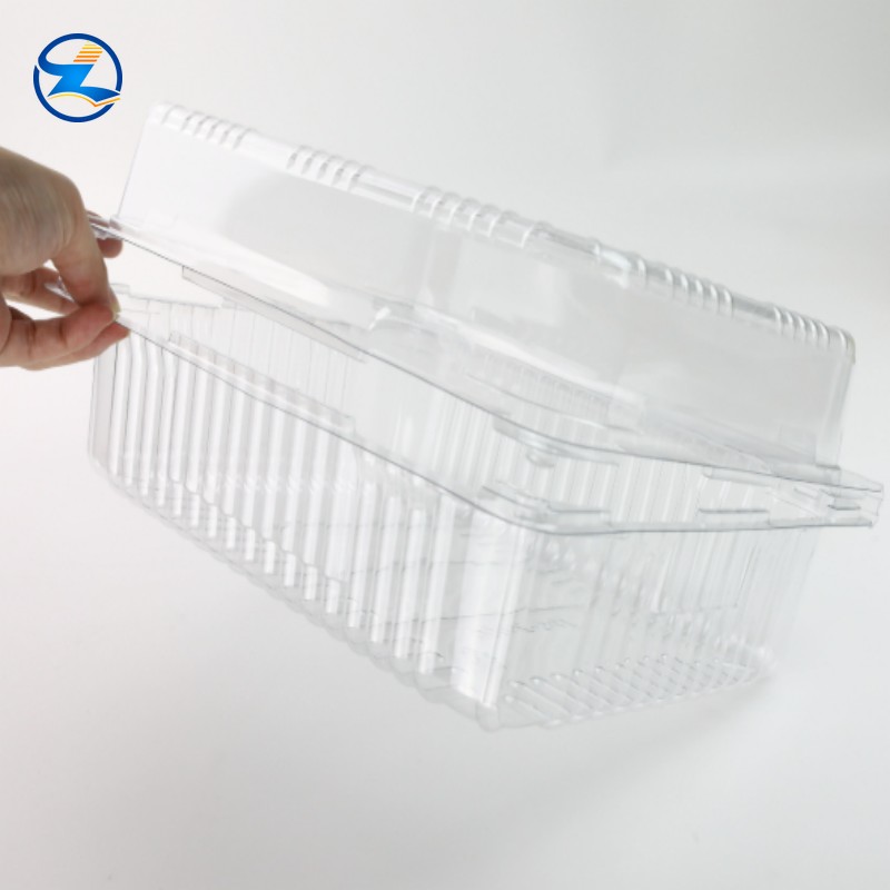 PET Transparent Food Tray-003 PET Transparent Food Tray-003