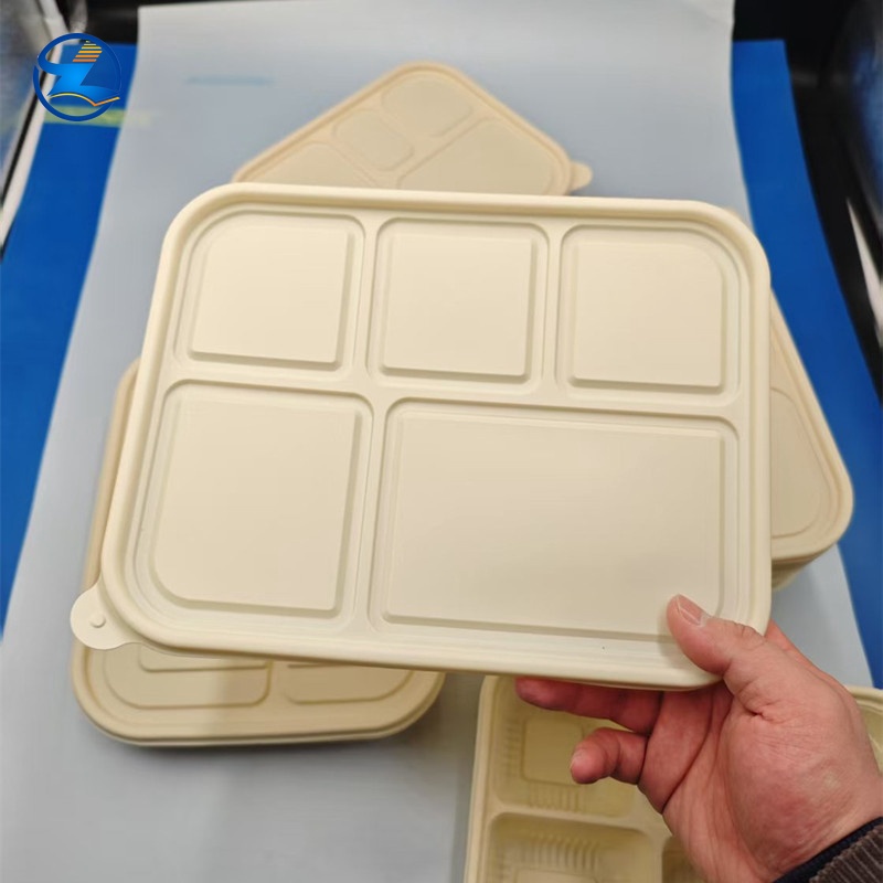 Disposable PLA Food Container