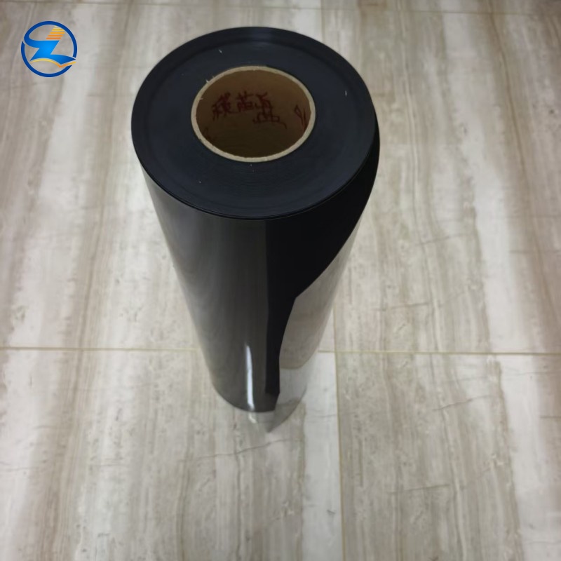 PP/EVOH/PP Film Blister for Food Packaging