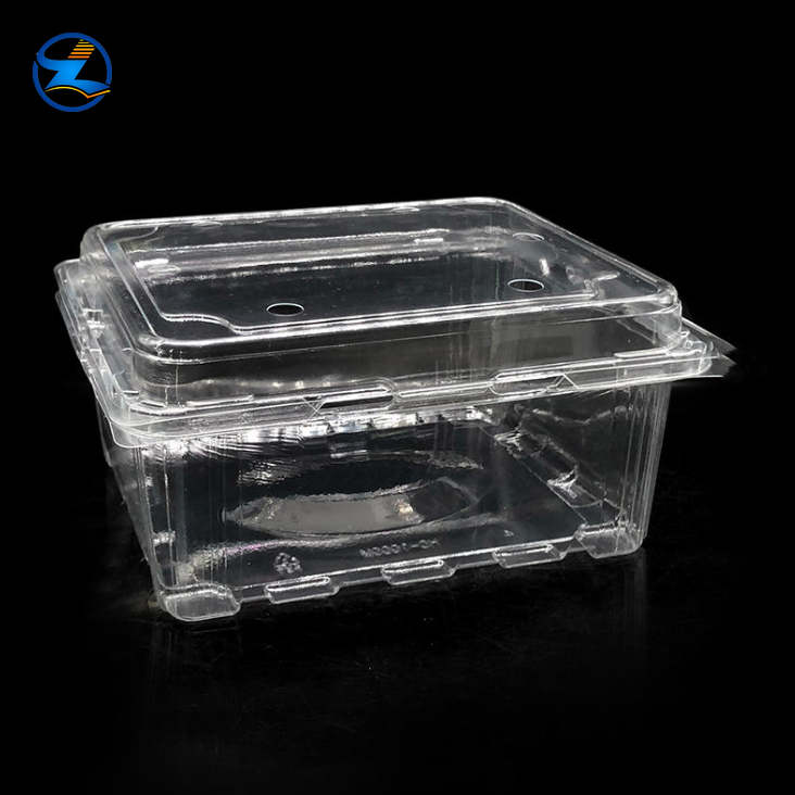 Transparent PET Fruit Vegetable Packaging Boxes
