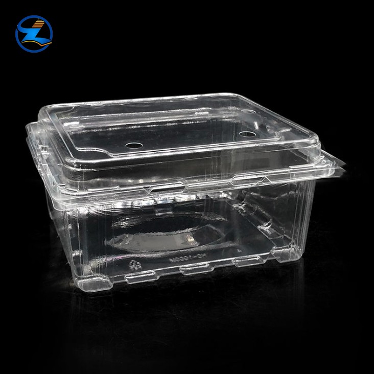 Transparent PET Fruit Vegetable Packaging Boxes PET Food Box-002