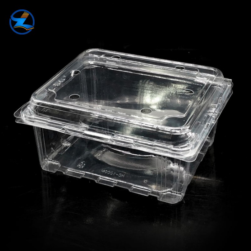 Transparent PET Fruit Vegetable Packaging Boxes PET Food Box-003