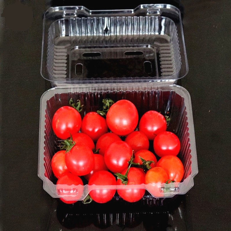pet05 Food grade PET sheet for Tray