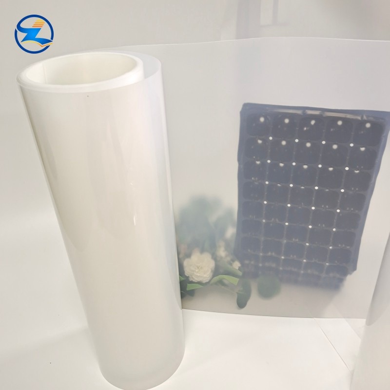 Thermoforming PP Material Sheet for packing and tray PP PS FILM (53)