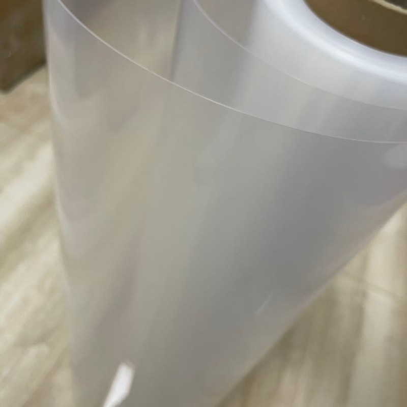 PP rigid sheet roll for tray