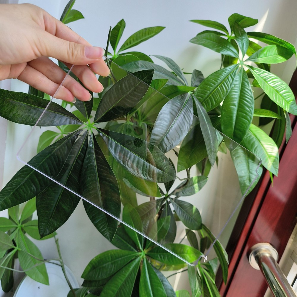 Polycarbonate Solid Sheet