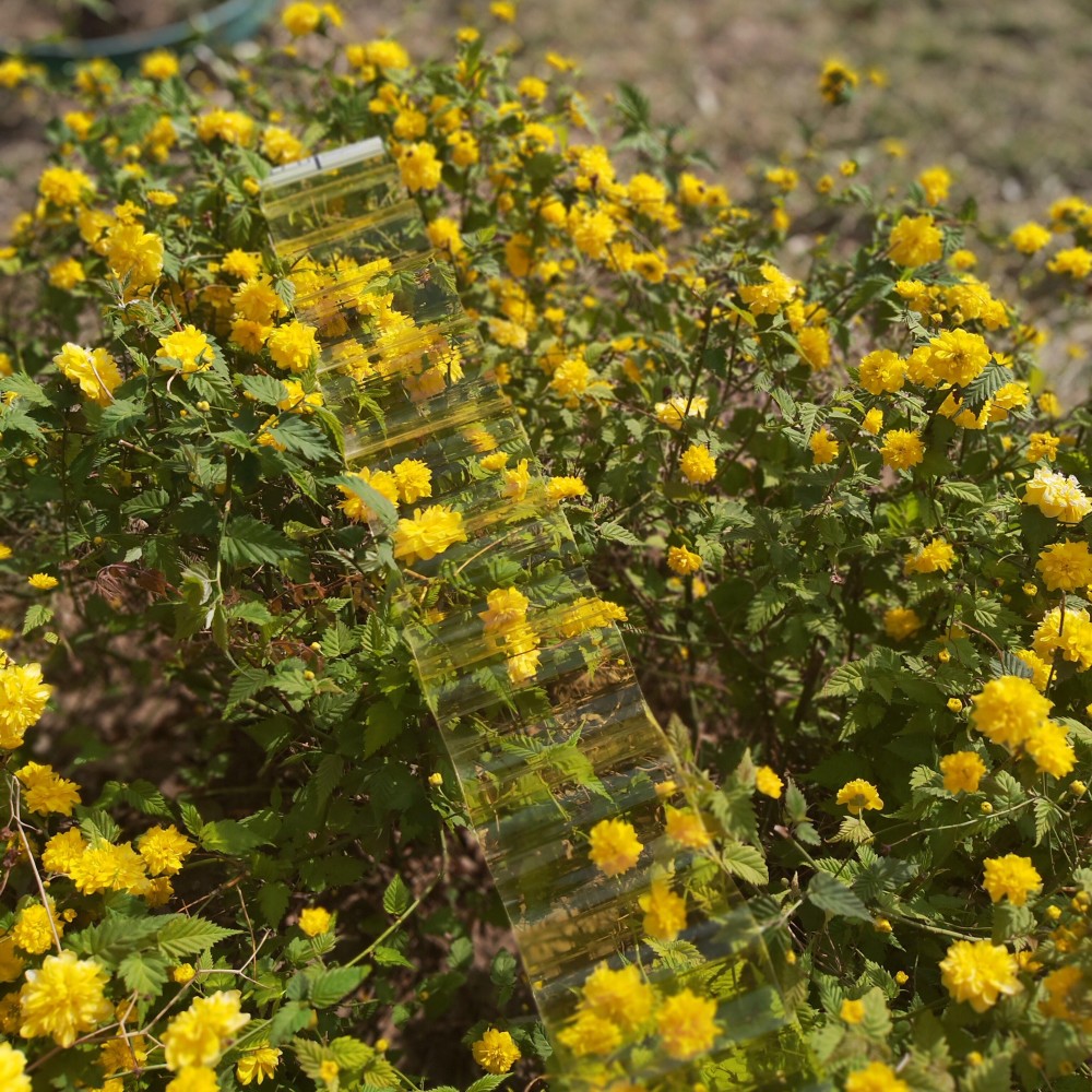 Polycarbonate Wave Sheet