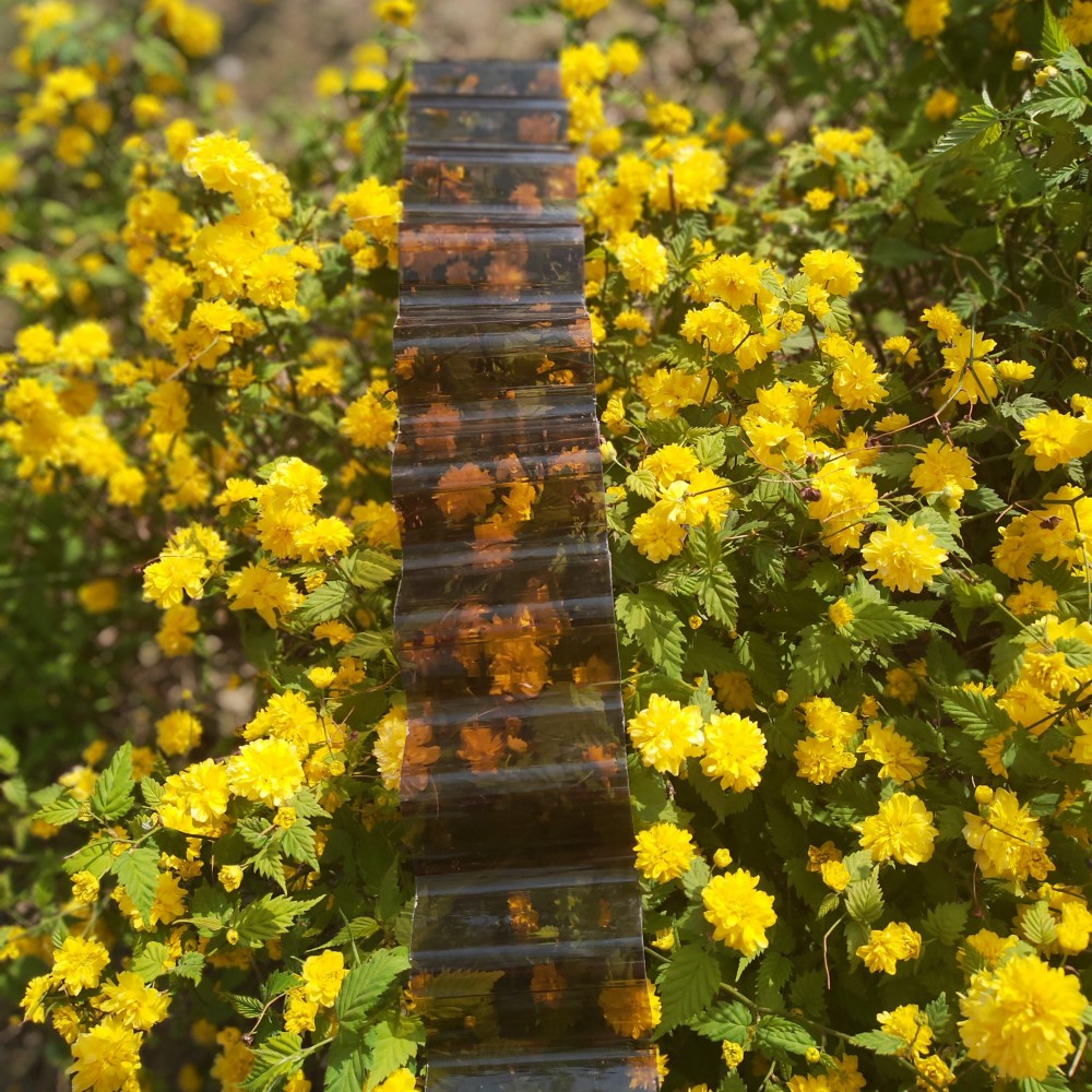 Polycarbonate Wave Sheet