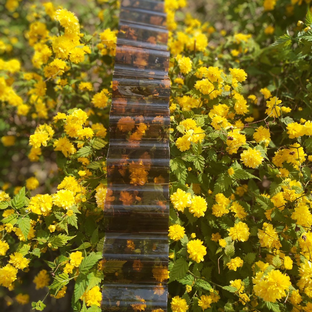 Polycarbonate Wave Sheet