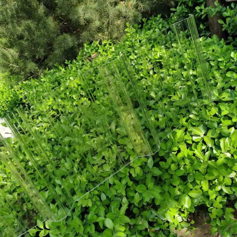 Polycarbonate Wave Sheet