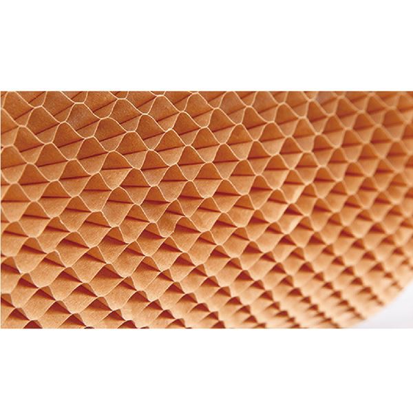 Honeycomb Paper Sleeve