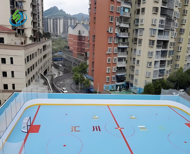 Ice Hockey Rink Fence