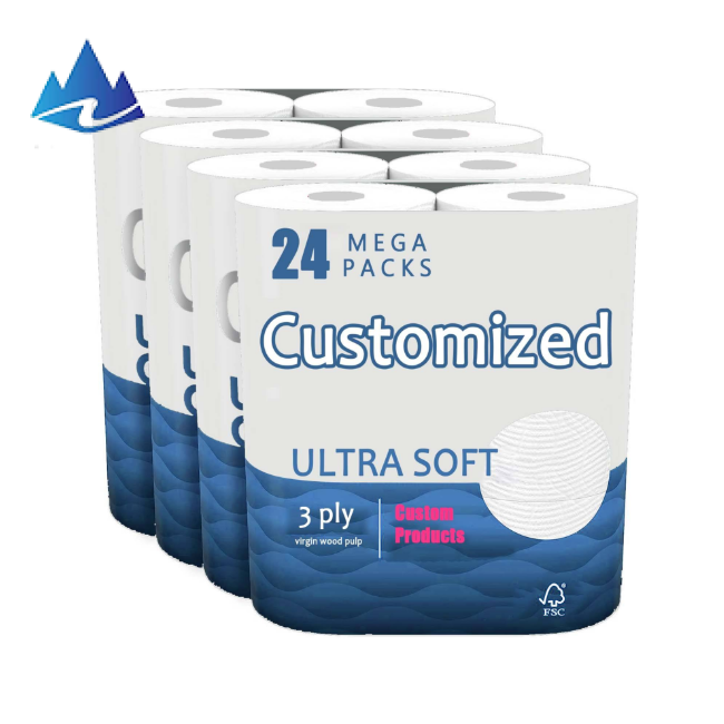 Toilet Paper And Toilet Paper Rolls