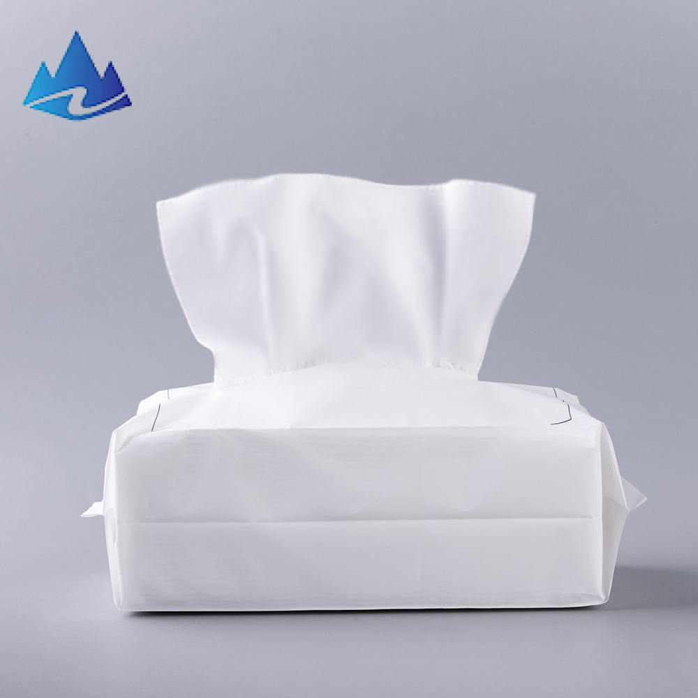 Disposable Toilet Paper  In Stock