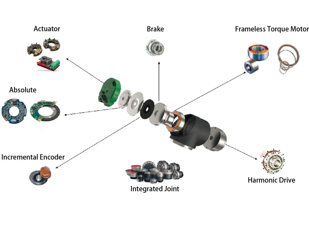 Por qué el módulo de articulación se denomina el Por qué el módulo de articulación se denomina el