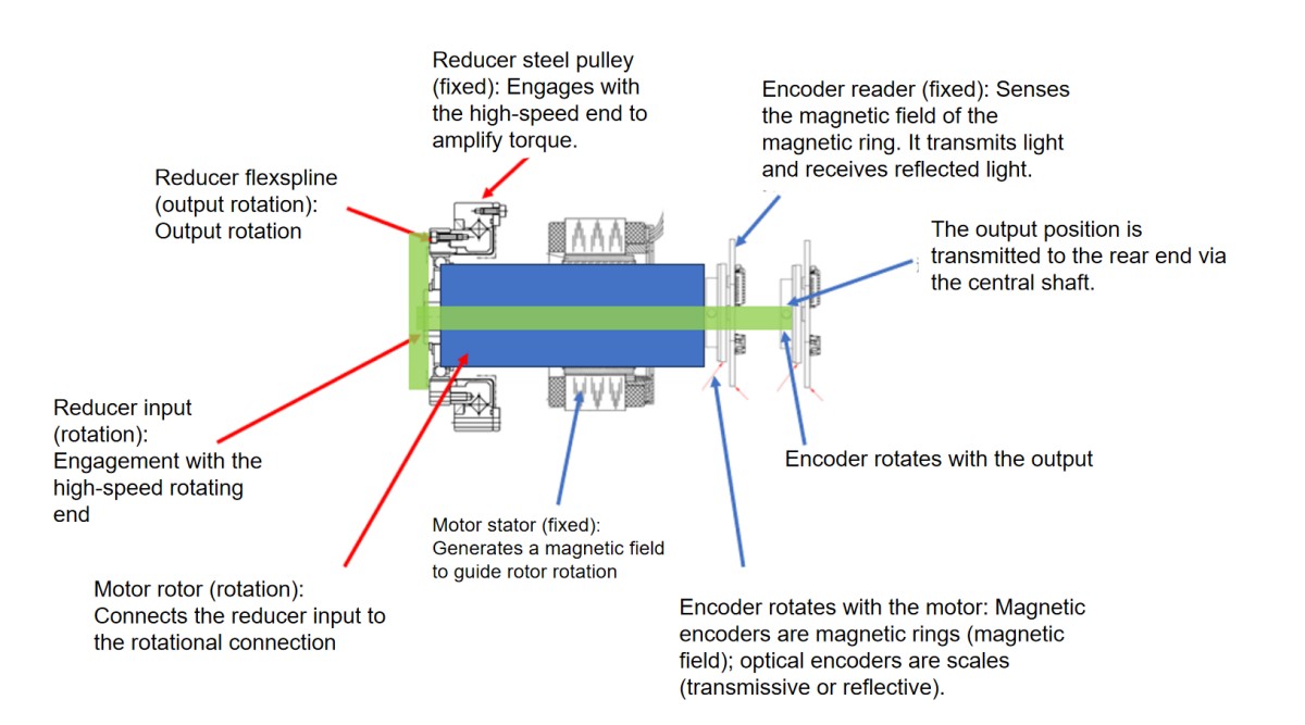 dual encoder joint motor
