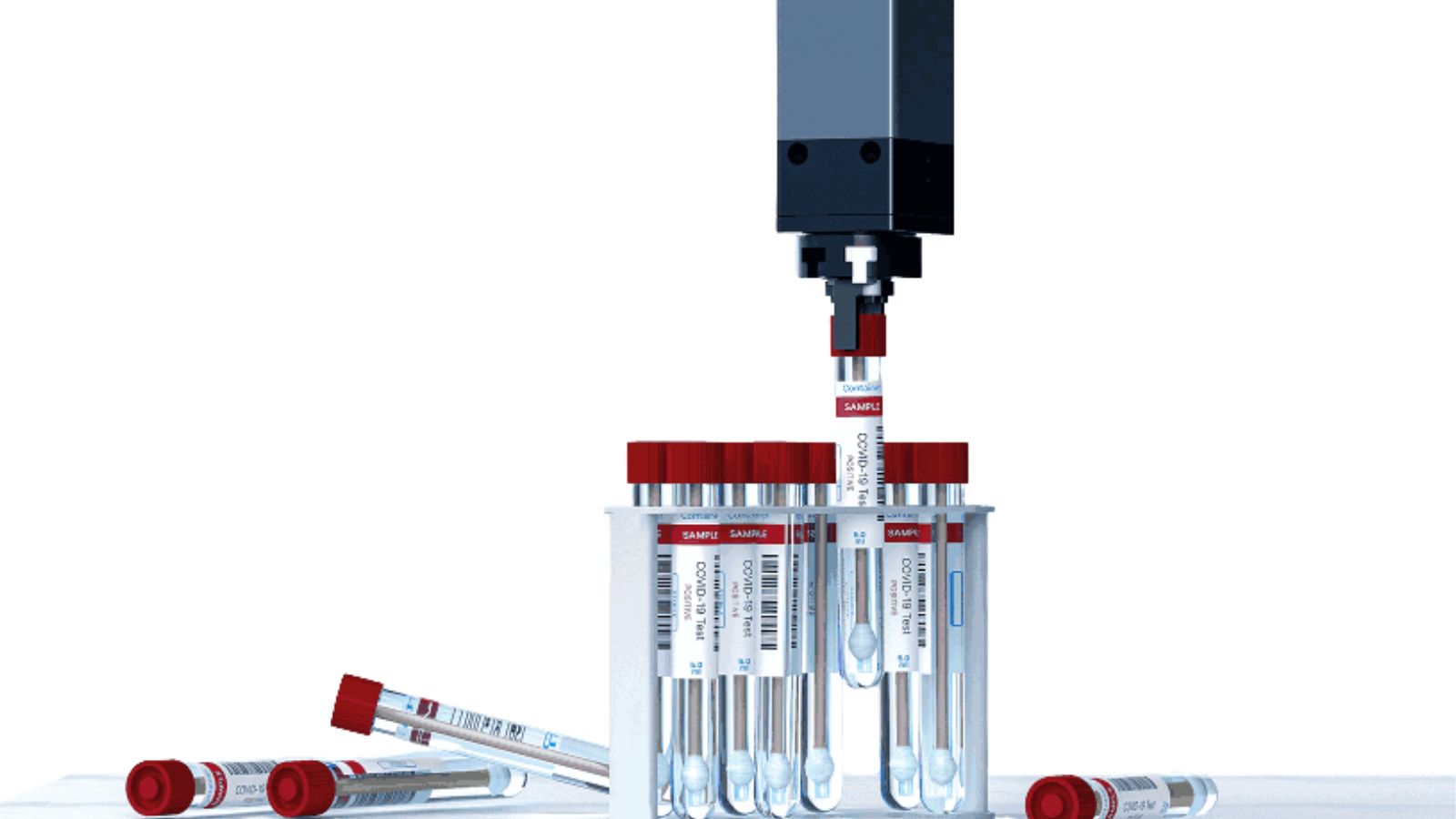 Sin nombre (1600 x 900 píxeles)