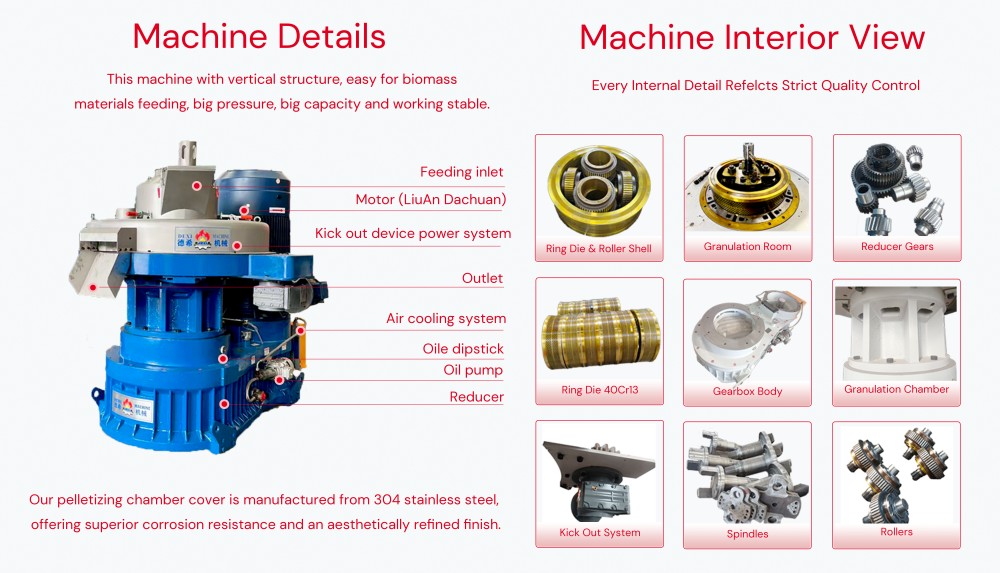 DEXI 1.5-2t/h Vertical Ring Die Wood Pellet Machine Customized Pine Eucalyptus Biomass Wood Pellet Making Mill